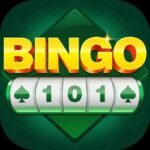 BINGO 101 Rummy